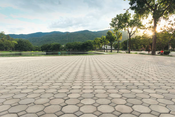 Best Driveway Pavers Near Me  in Mayo, SC